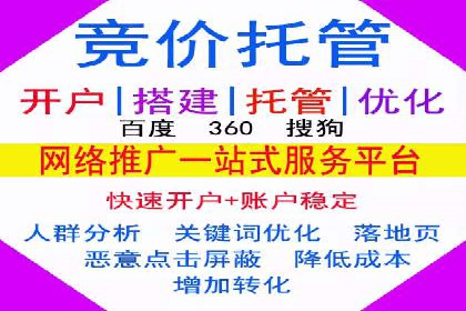 SEM托管公司案例分析：数据驱动决策